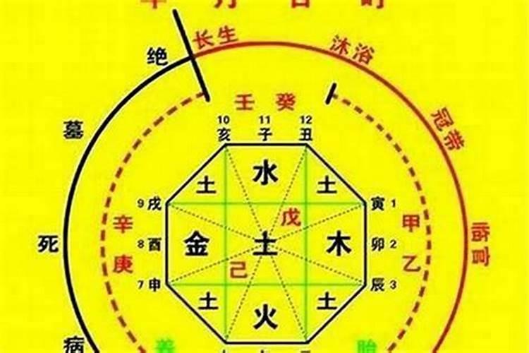 生辰八字土旺己土是什么意思？