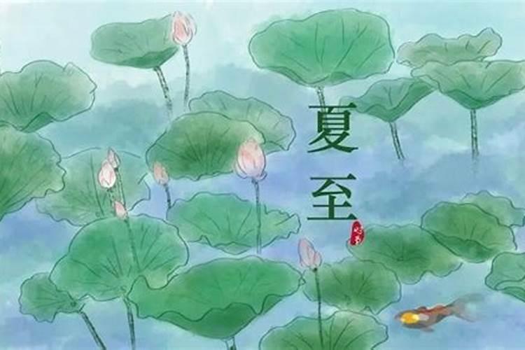 夏至的节日习俗