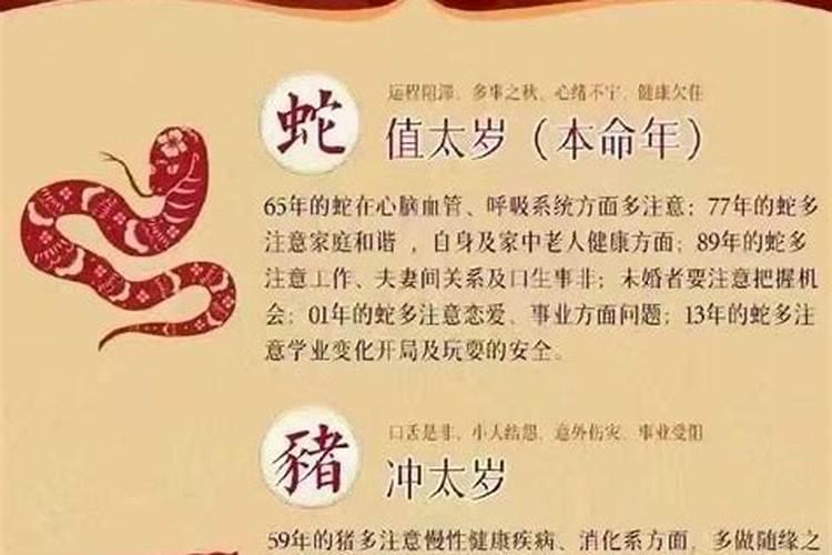 明年犯太岁的属相都有哪几个？