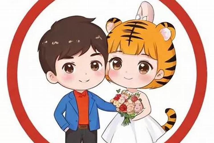 属兔和属人虎八字合吗？