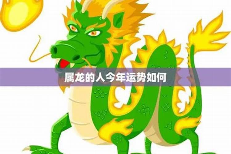 今年属龙人的运势如何？