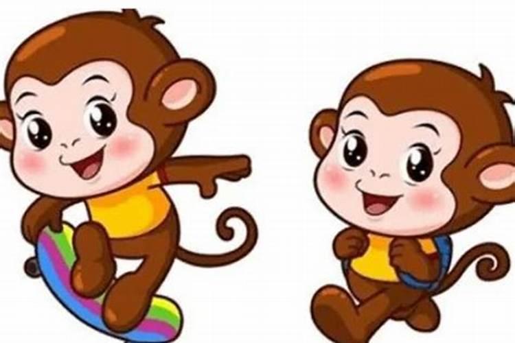 女属猴男属马合婚吗？