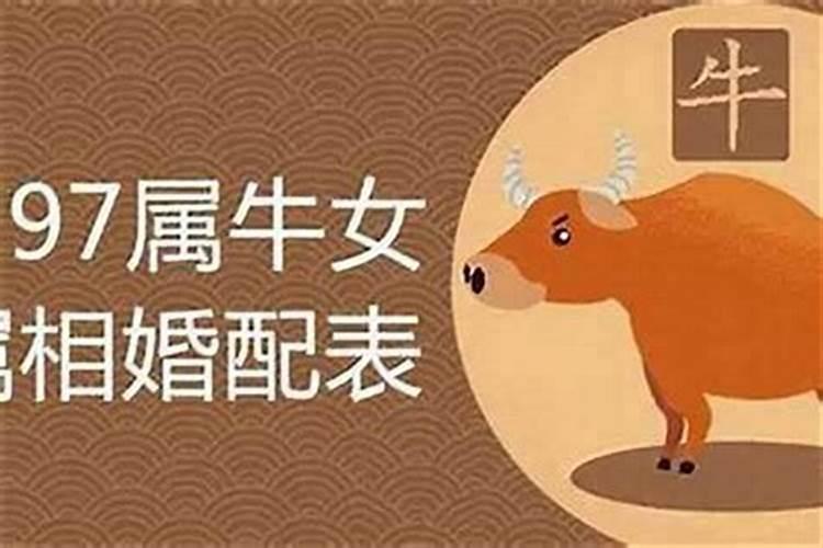 鼠与牛属相婚配怎样？