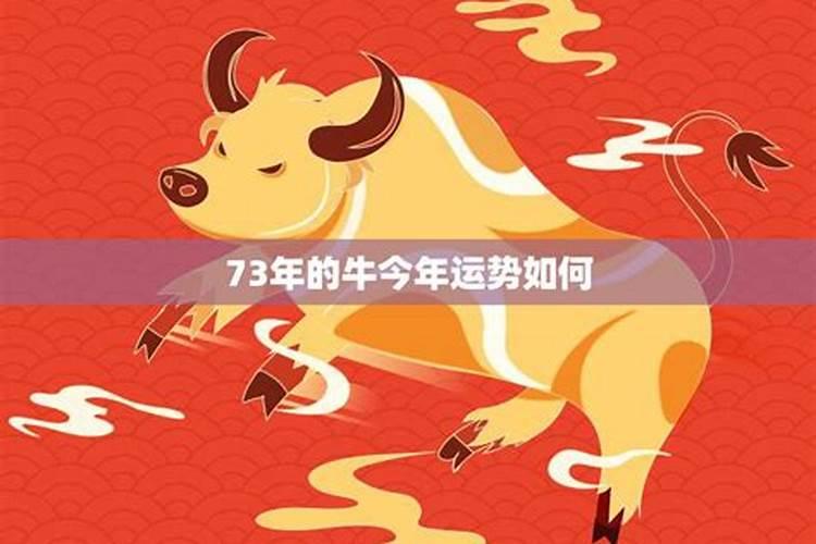 属牛的今年运势如何财运如何？