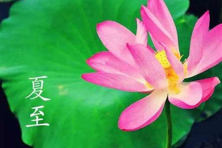 夏至出生好