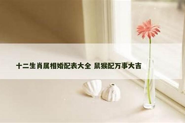 猴和鼠的属相能婚配吗？