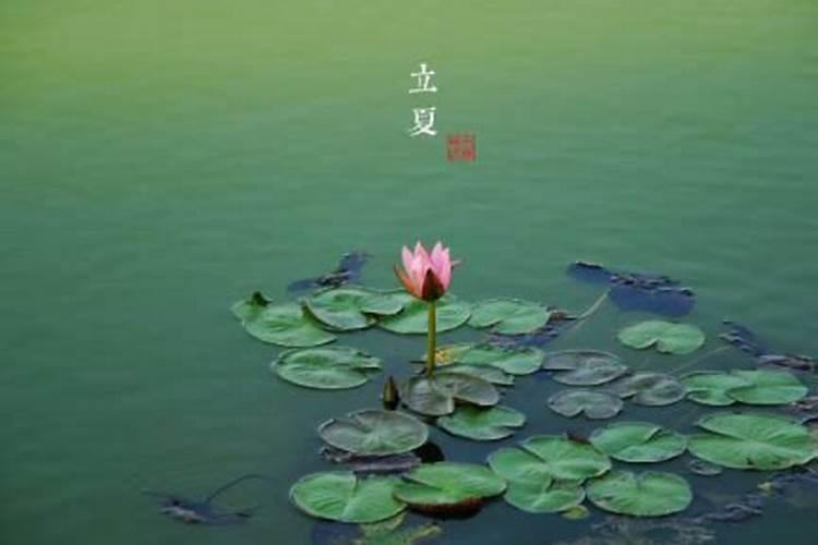 立夏节气最忌讳什么东西？