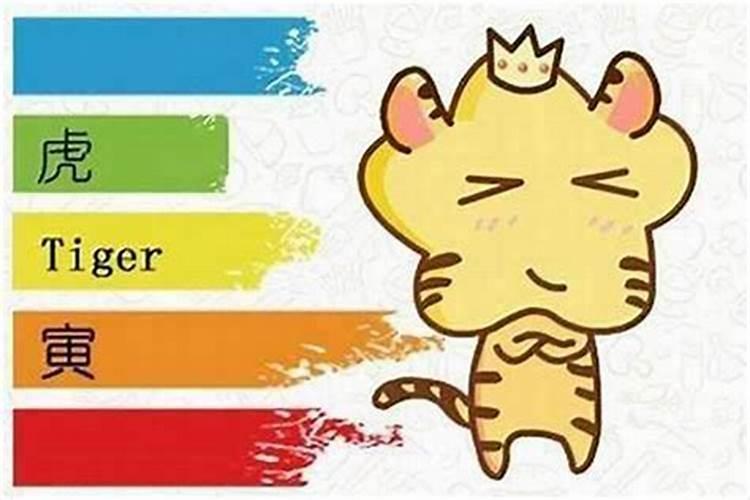 属虎本命年可以当伴娘吗？