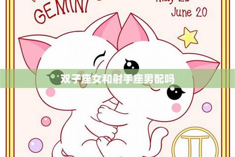 男双子座女射手座合婚吗？