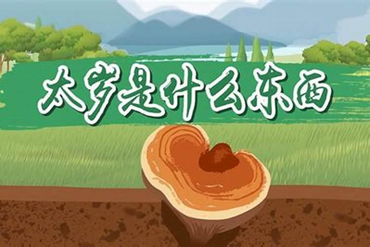 太岁到底是个啥东西有什么用？