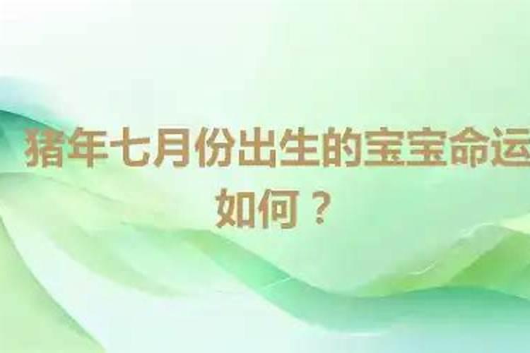 七月十五出生的猪宝宝