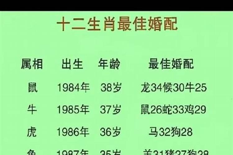 婚配八字测算男牛女蛇