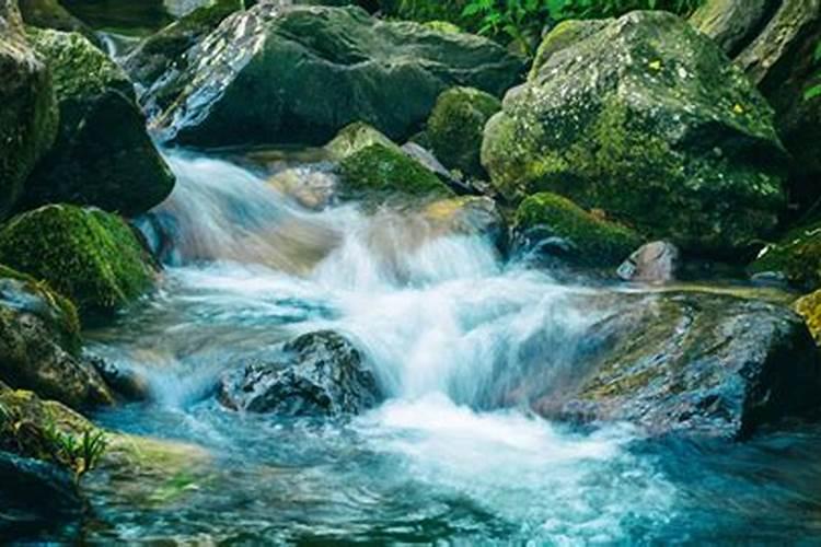 梦见清水往下水里流