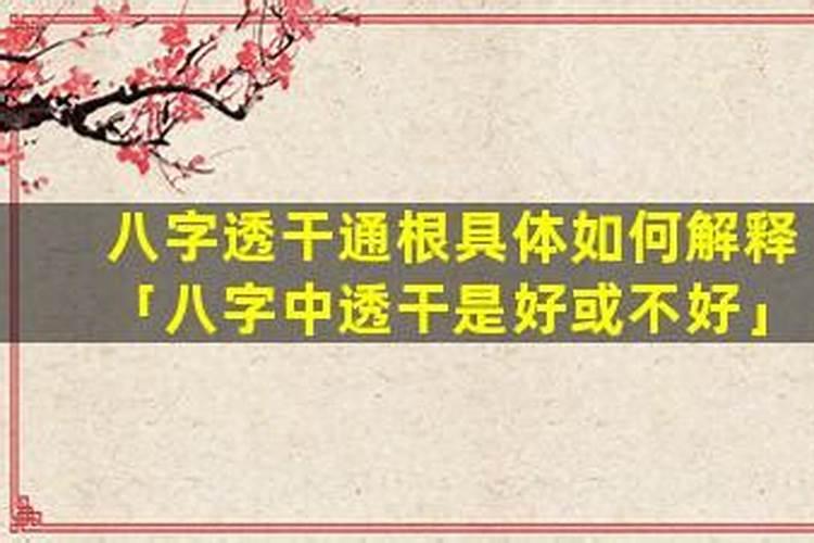 八字中什么叫透干？