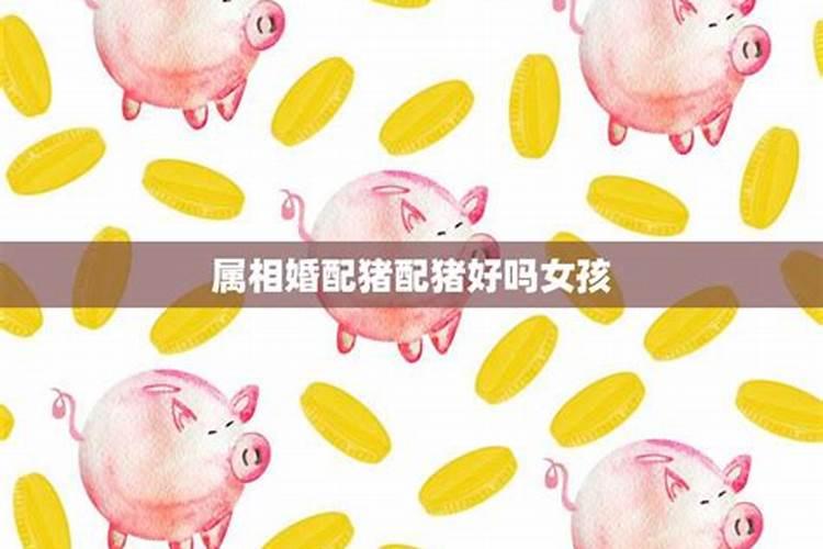 属相猪与猪婚配可以吗？