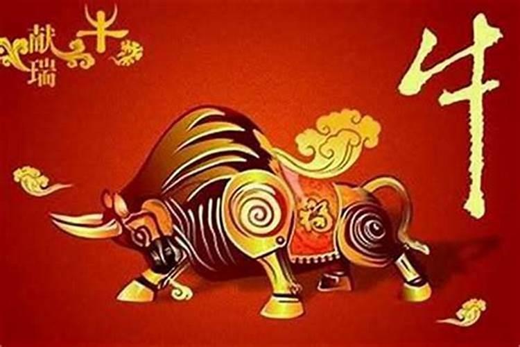 牛年犯太岁可以带牛吗？