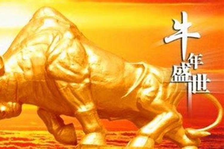 属牛的怎么提升财运？