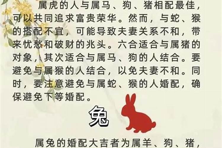 鼠与鸡属相婚配可以吗？