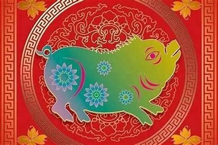 猪在本命年犯太岁吗？