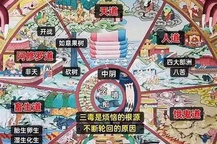 童子命会六道轮回吗？