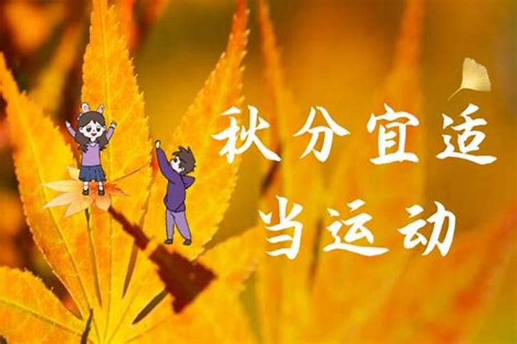 秋分注意事项
