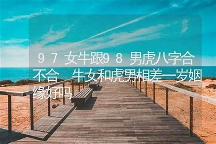 97和98八字合吗？