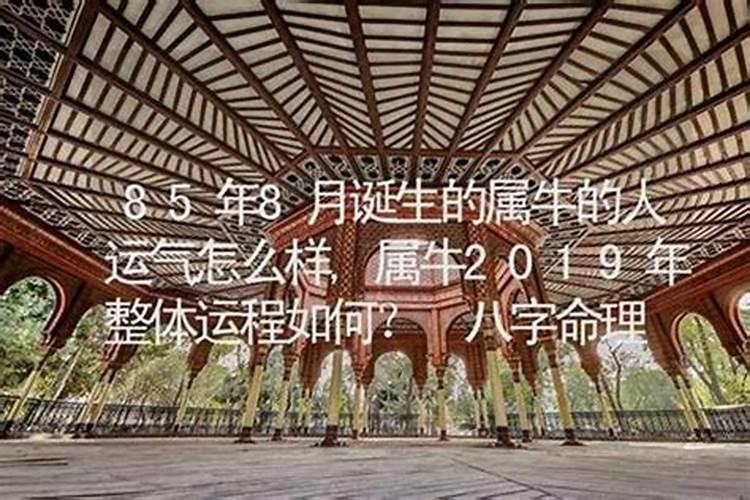 牛人8月的运程如何？