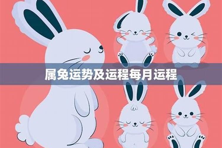 属兔阴历6月运程如何？