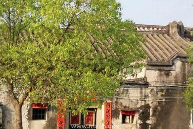 梦回老家是什么预兆？