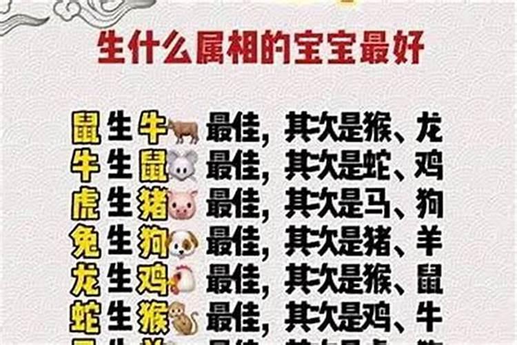哪个属相的宝宝好带？