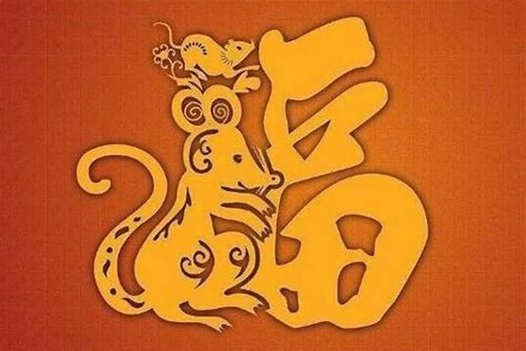 属鼠女96年一生运势