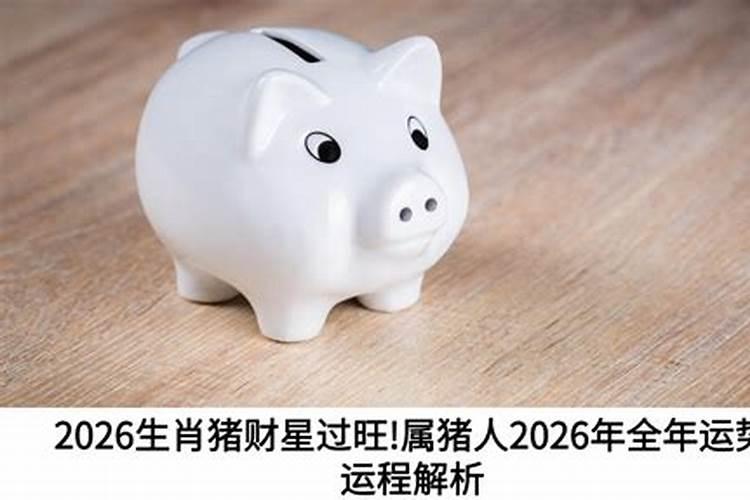 肖猪人2026年运程