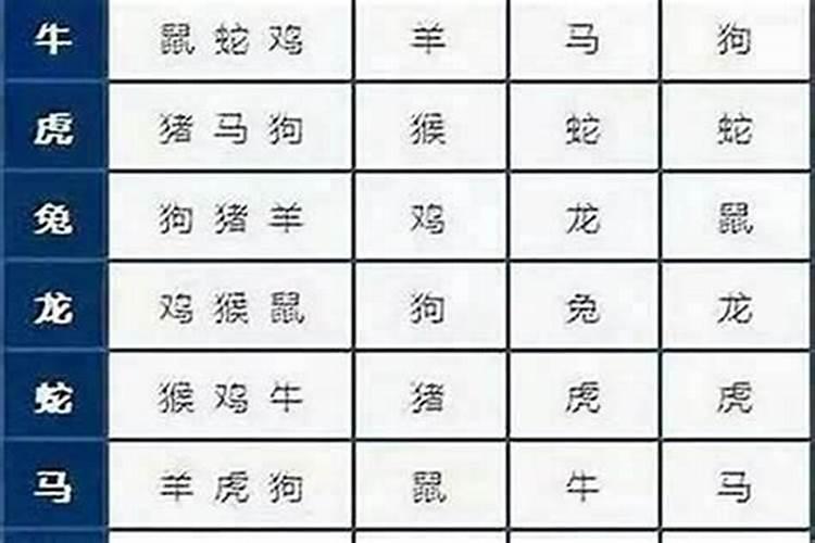 女属鼠婚配哪个属相最好？
