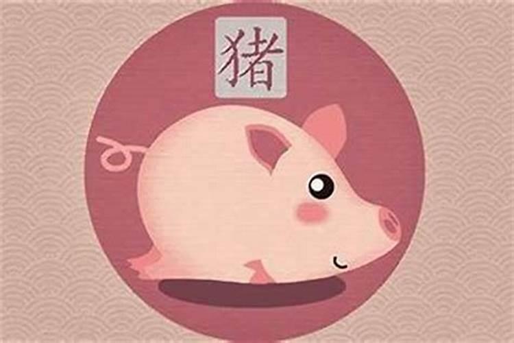 男属猪婚配什么属相最好？