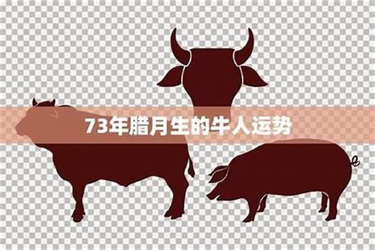 新浪博客73年属牛人2026年运程