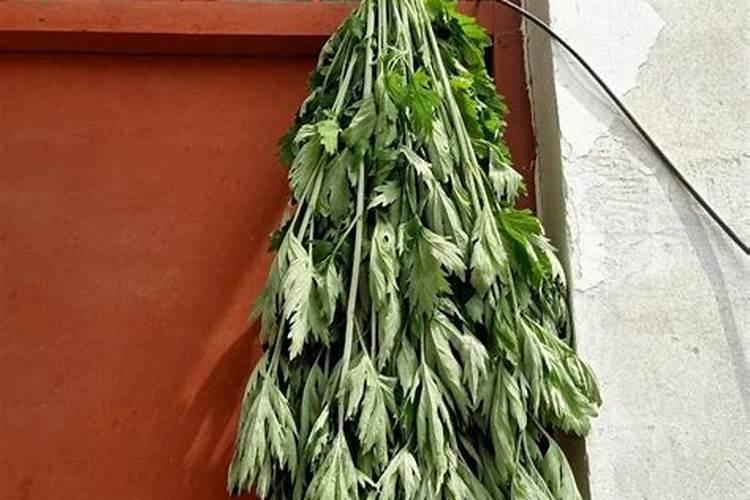 端午节艾草的禁忌