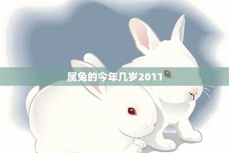 属兔32岁今年运势女