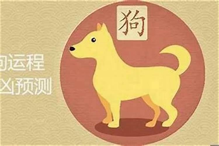 1982属狗人在2026的运程如何？
