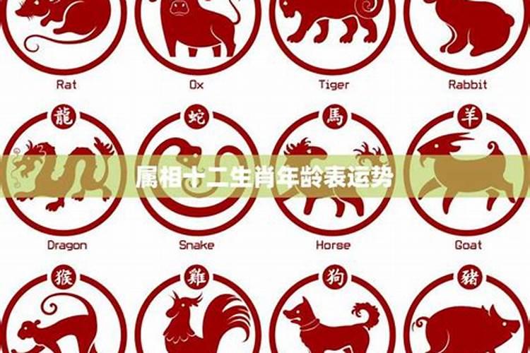 生肖运势预测根据什么？