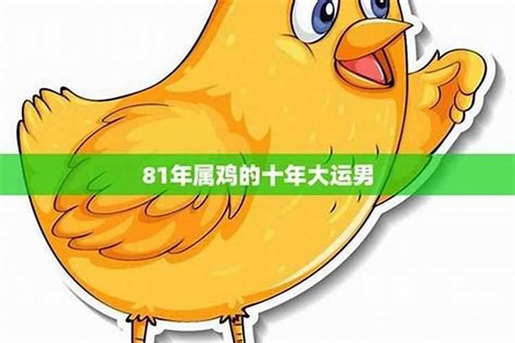 1981年七月属鸡2026年运势如何？