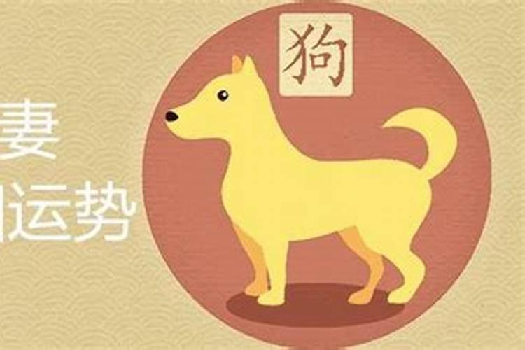 属牛的和属狗的合婚吗？
