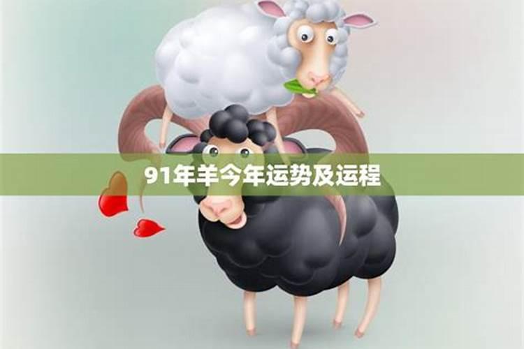 91年出生今年的运程
