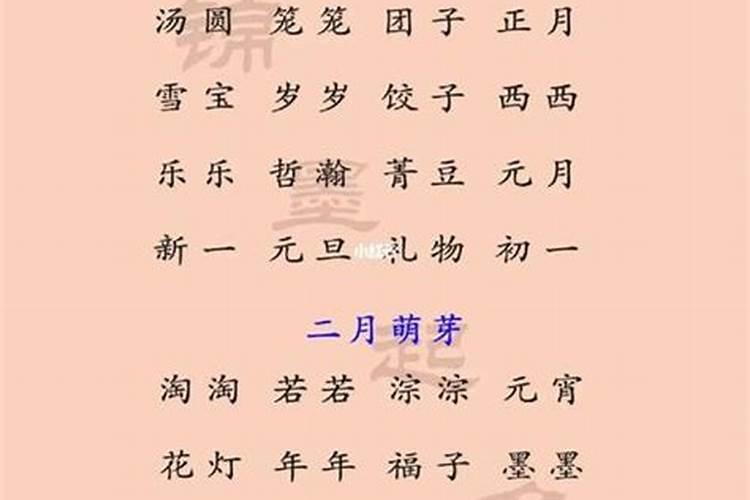 正月初一出生的人小名