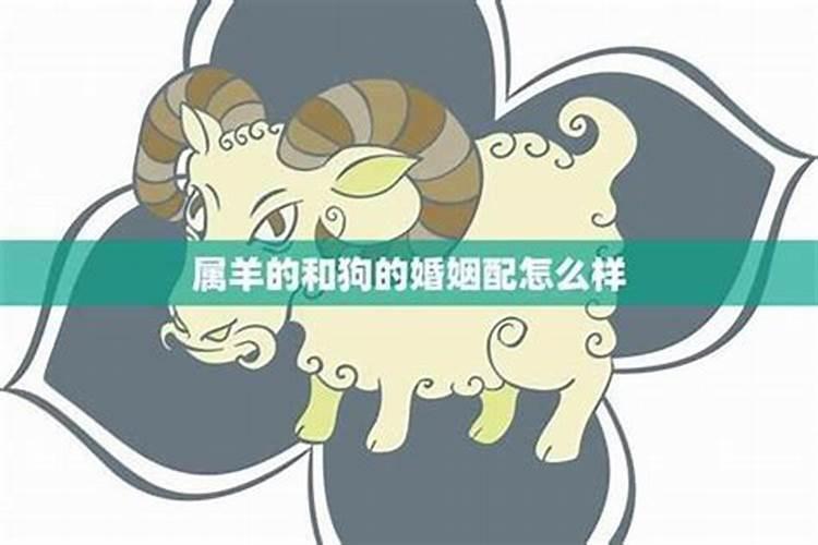 属相羊和狗能婚配吗？