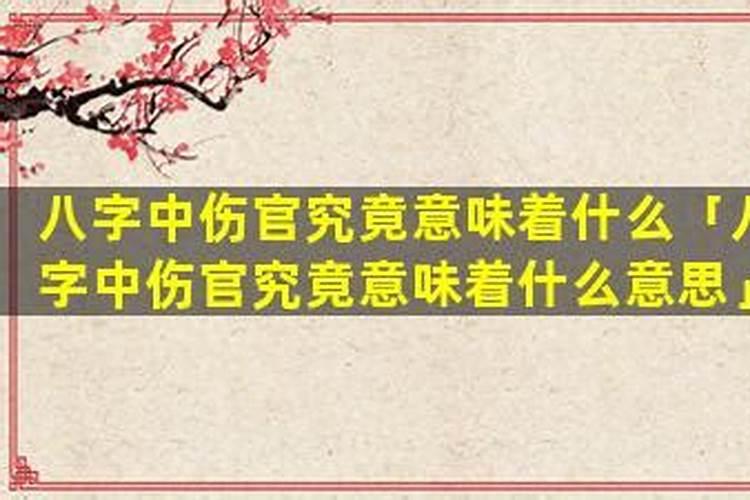 批八字中伤是什么意思？