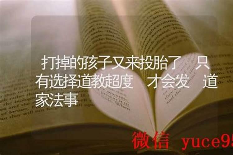 打掉的孩子又来投胎了