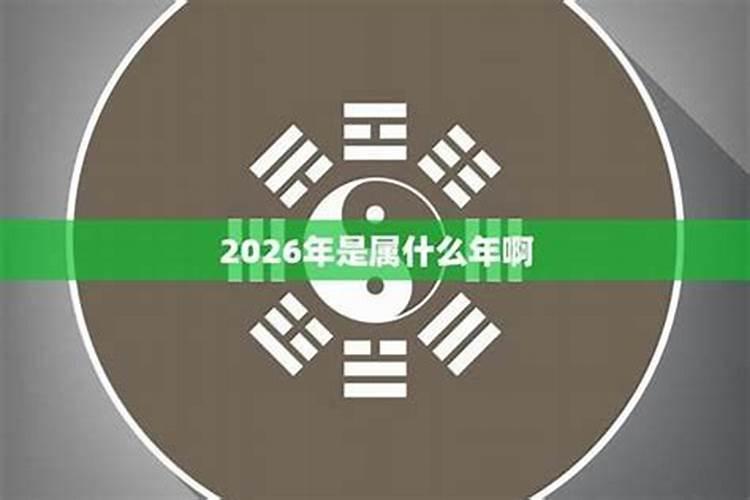 1965年生的2026年的运程