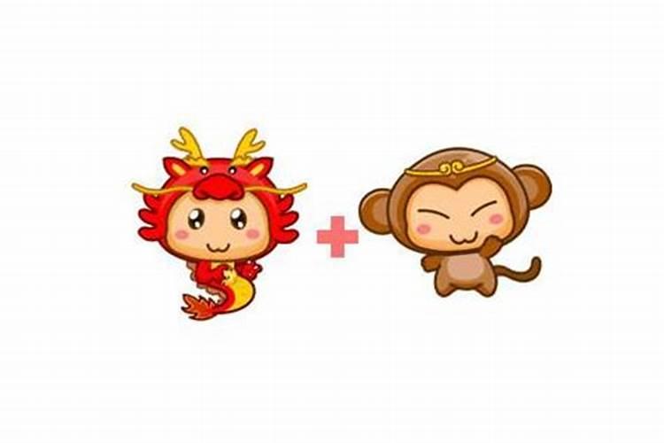 属龙和属猴的合婚吗？