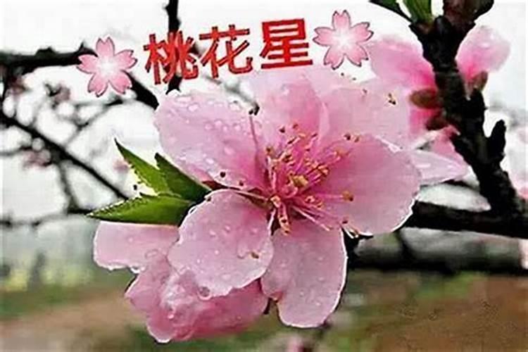 命理八字算命桃花运怎么看？