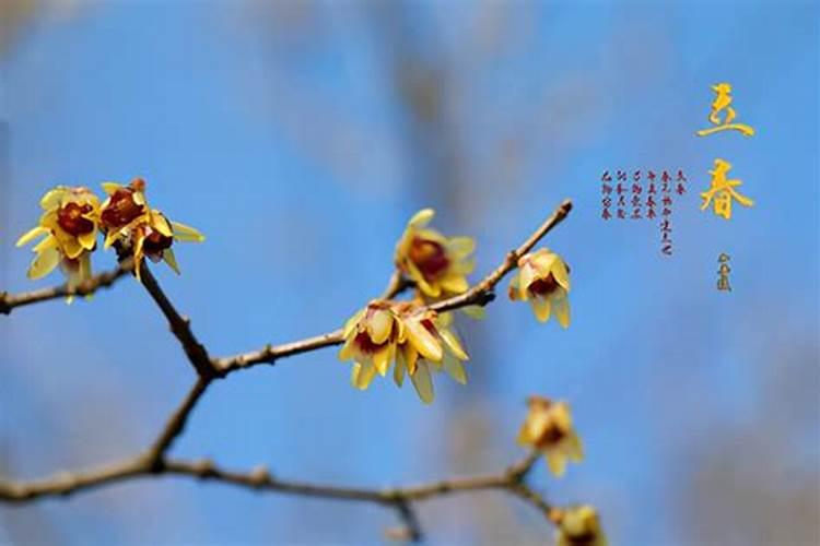 立春了要注意哪些事？
